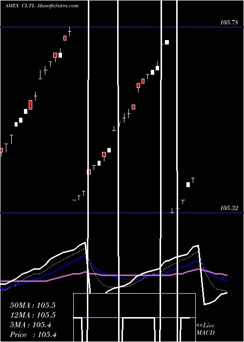  Daily chart TreasuryCollateral