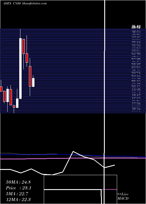  monthly chart AmplifySeymour