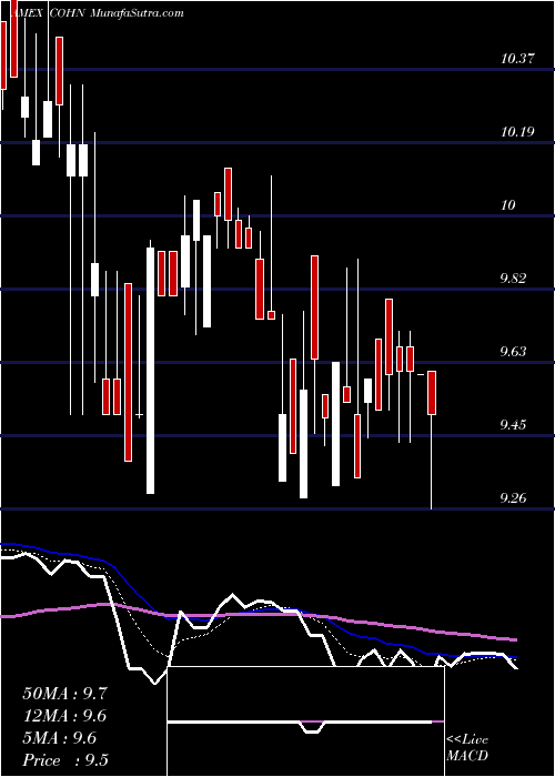  Daily chart CohenCo