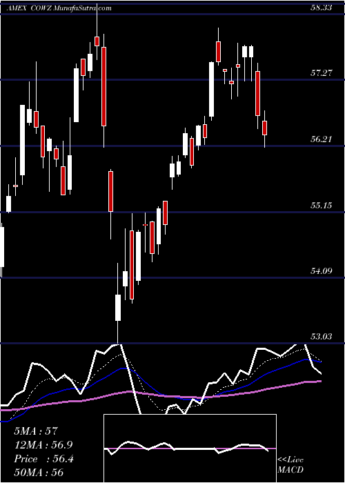  Daily chart PacerUs