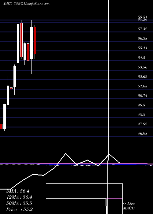  monthly chart PacerUs