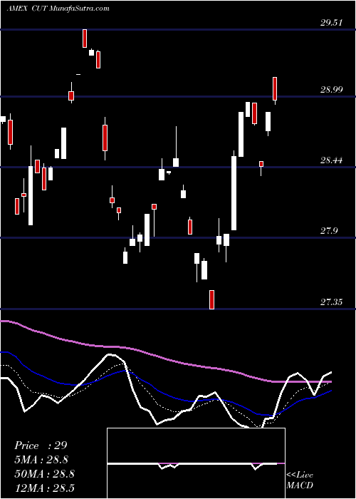  Daily chart Timber Guggenheim