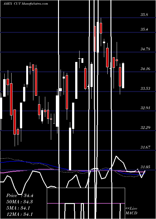  weekly chart TimberGuggenheim