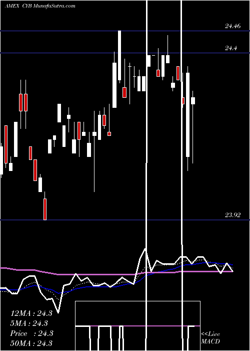  Daily chart WisdomtreeChinese
