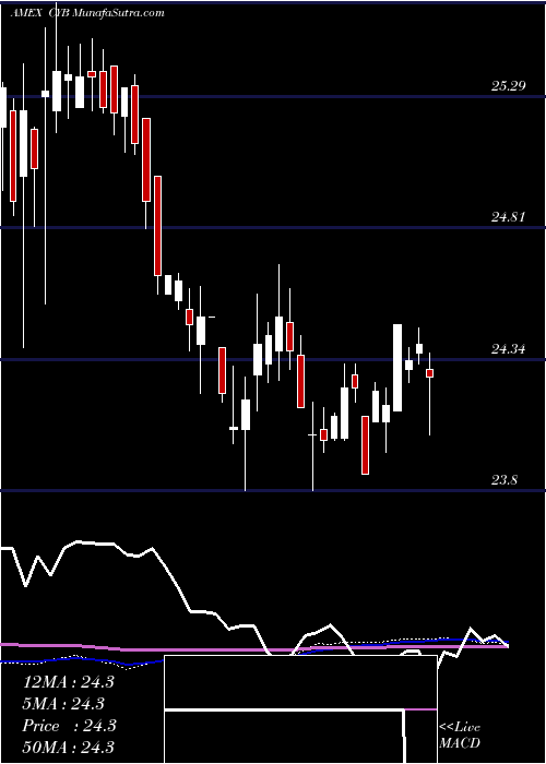  weekly chart WisdomtreeChinese