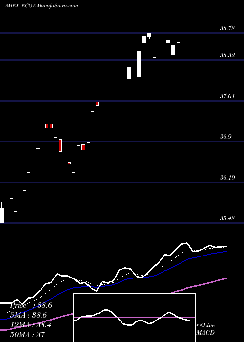  Daily chart TruemarkEsg