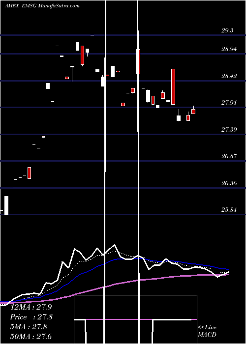  Daily chart XtrackersMsci