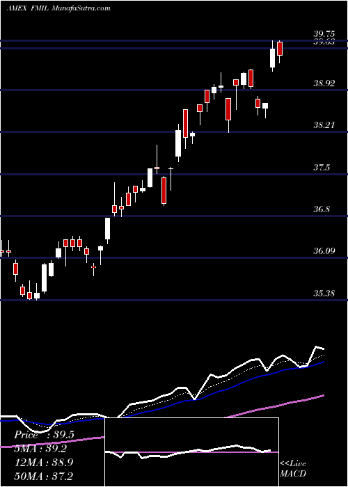  Daily chart FidelityNew