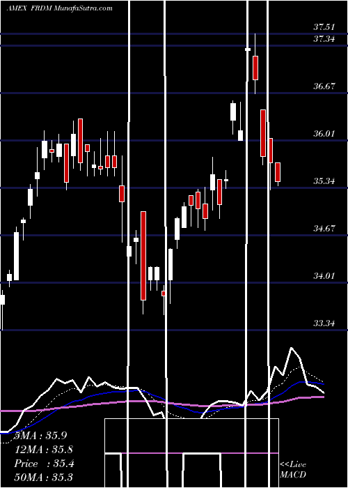  Daily chart Freedom 100 Emerging Markets ETF