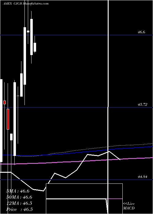  monthly chart GsAccess