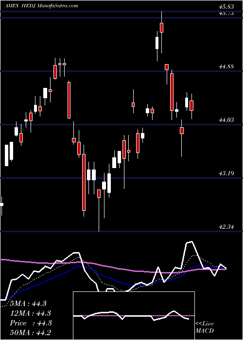  Daily chart IntlHedged