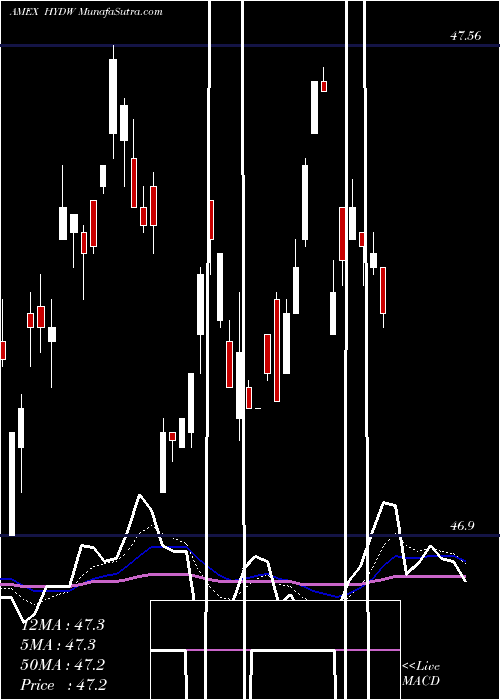  Daily chart XtrackersLow