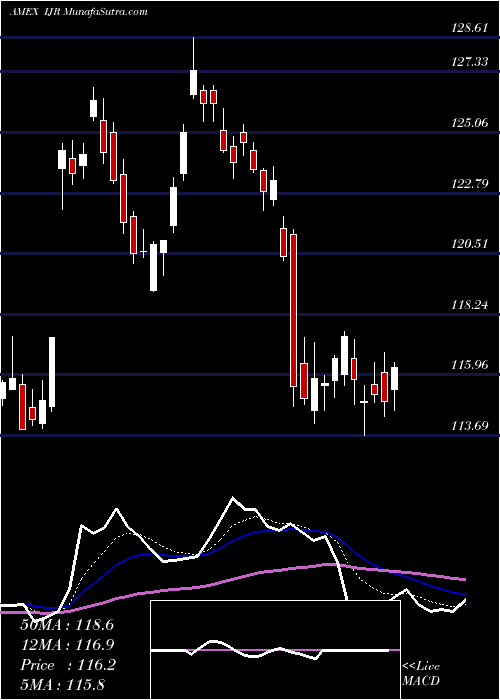  Daily chart SP