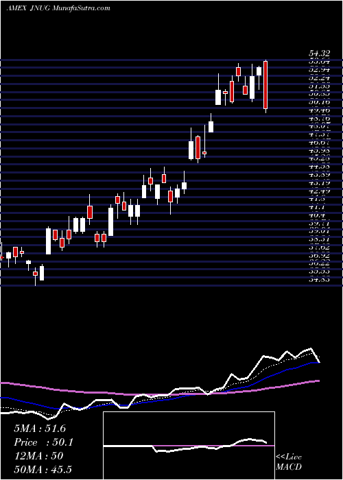  Daily chart Direxion Daily Junior Gold Mine