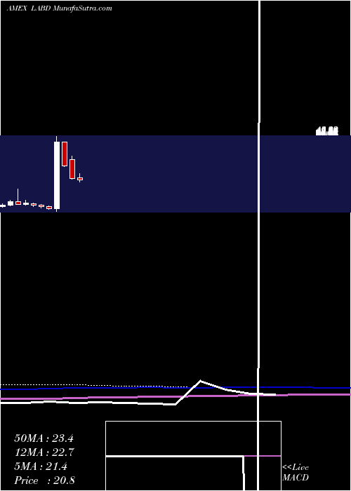  monthly chart DirexionDaily