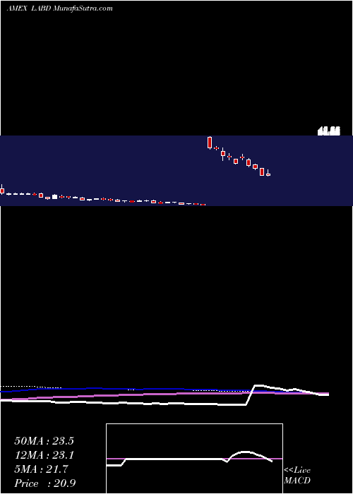 weekly chart DirexionDaily