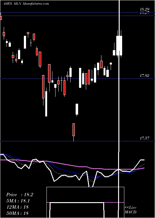  Daily chart LongMunicipal