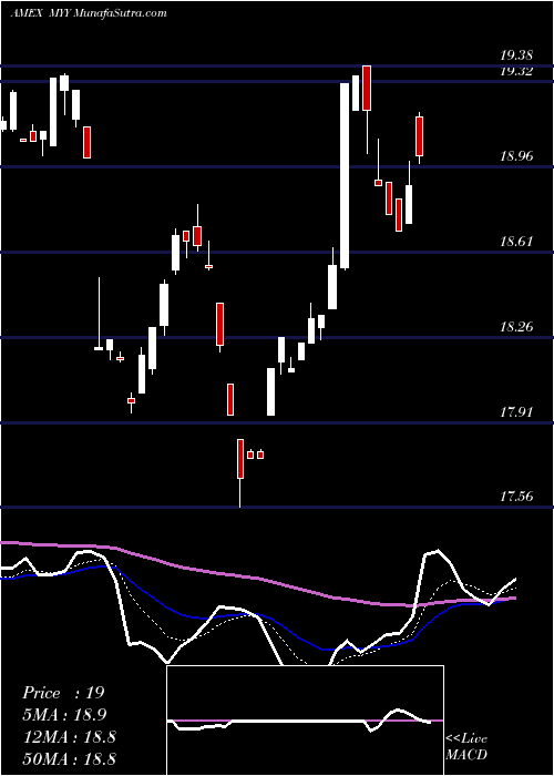  Daily chart ShortMidcap