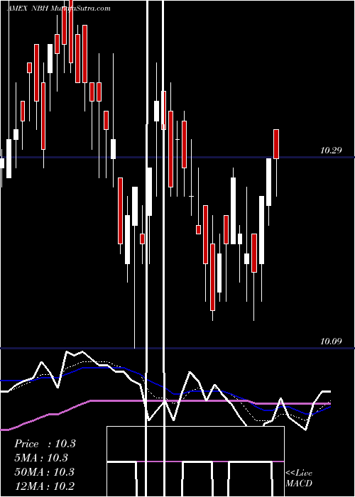  Daily chart NeubergerBerman