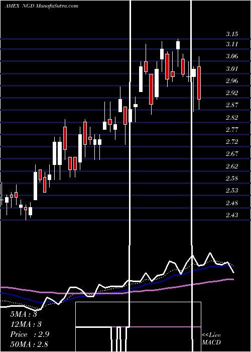  Daily chart NewGold