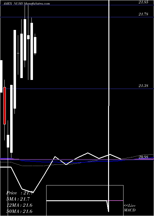  monthly chart NuveenEsg