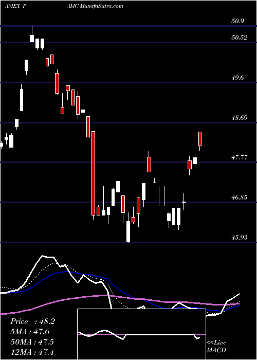  Daily chart PacerLunt