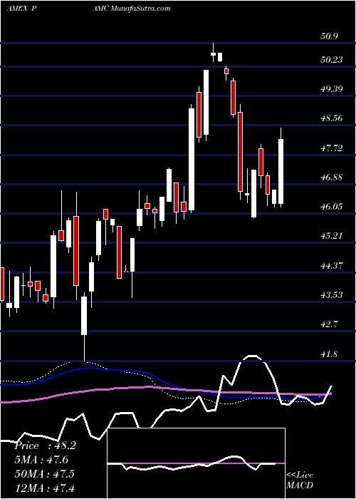  weekly chart PacerLunt