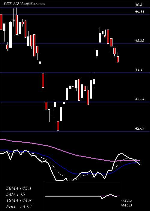  Daily chart DynamicFood