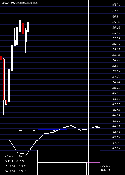  monthly chart DynamicLeisure