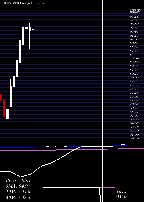  monthly chart DynamicBuilding