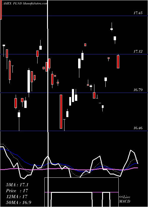  Daily chart Poland ETF Market Vectors
