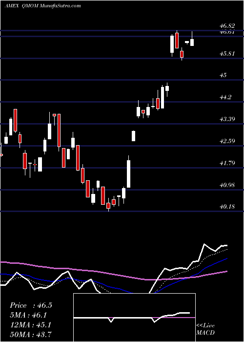  Daily chart QuantitativeMomentum