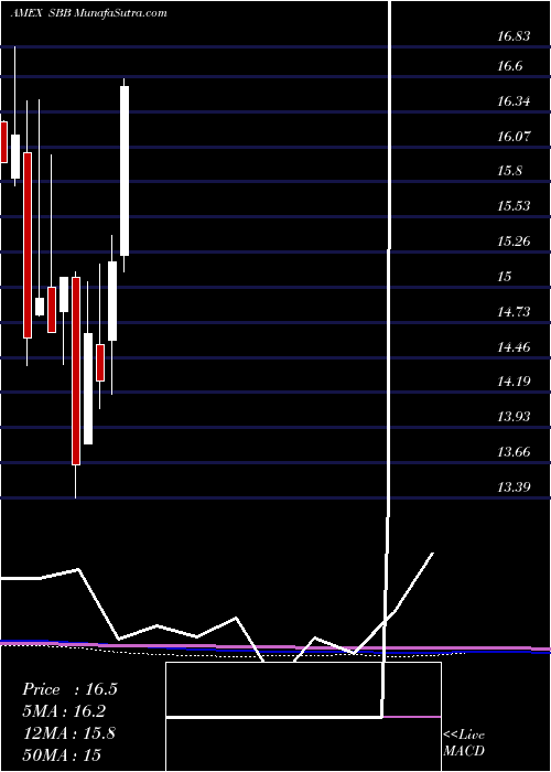  monthly chart ShortSmallcap