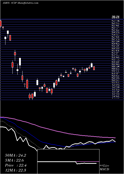  Daily chart IndiaSmallcap