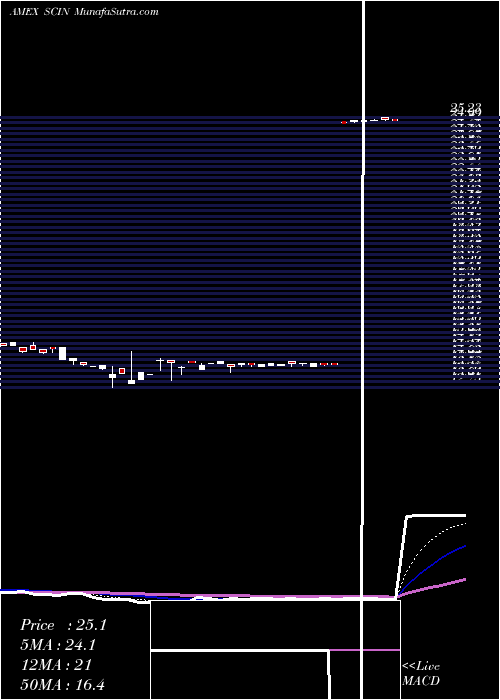  Daily chart IndiaSmallcap