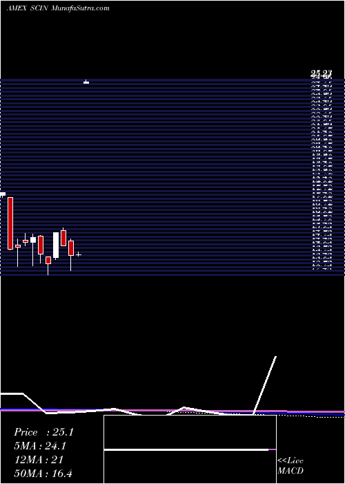  monthly chart IndiaSmallcap