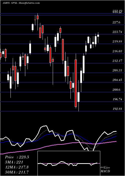  Daily chart DirexionDaily