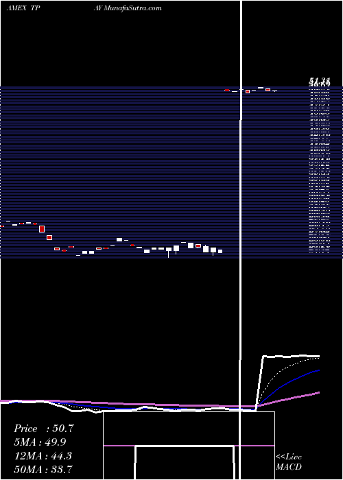  Daily chart Tortoise Digital Payments Infrastructure Fund