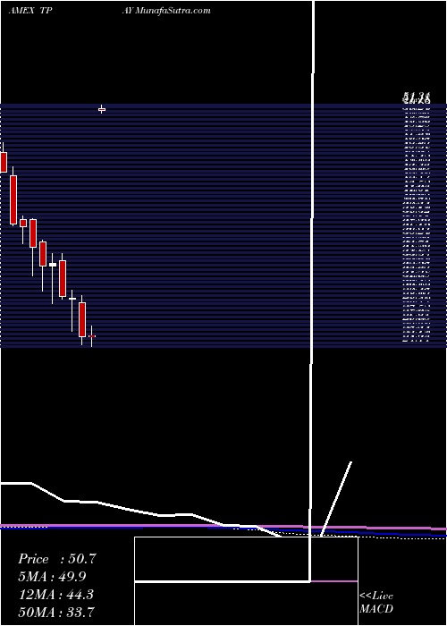 monthly chart TortoiseDigital