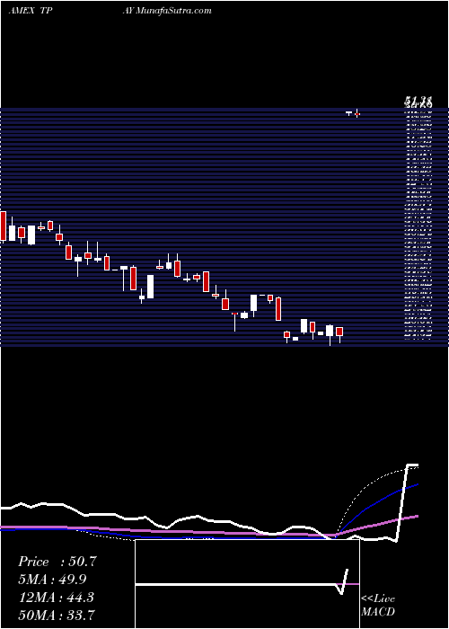  weekly chart TortoiseDigital