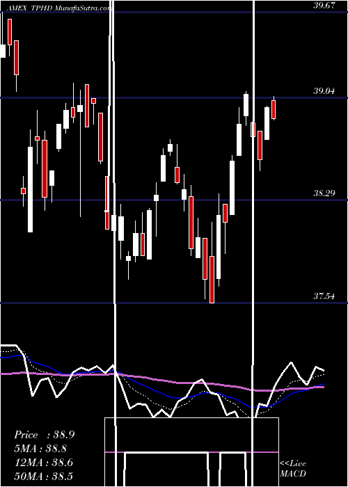  Daily chart TimothyPlan