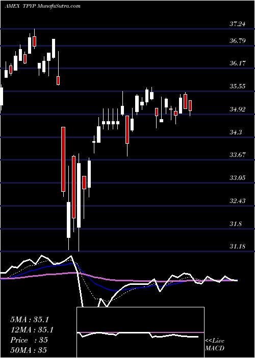  Daily chart TortoiseNorth