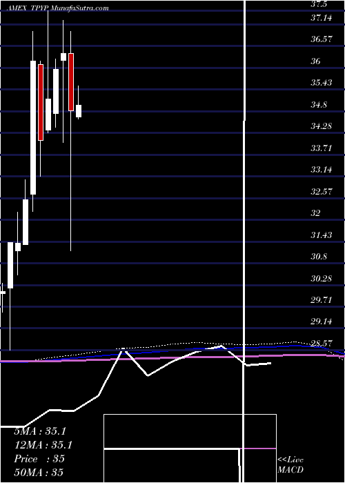  monthly chart TortoiseNorth