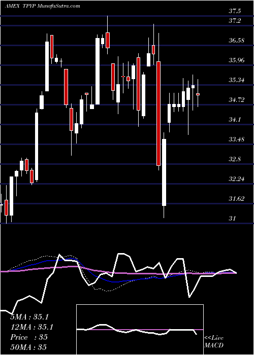  weekly chart TortoiseNorth