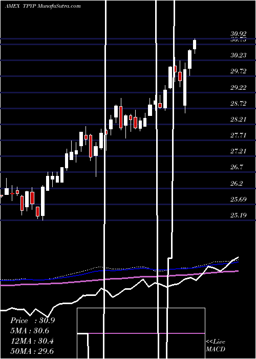  weekly chart TortoiseNorth