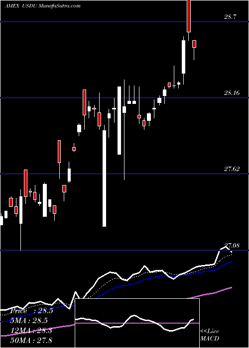  Daily chart WisdomtreeBloomberg