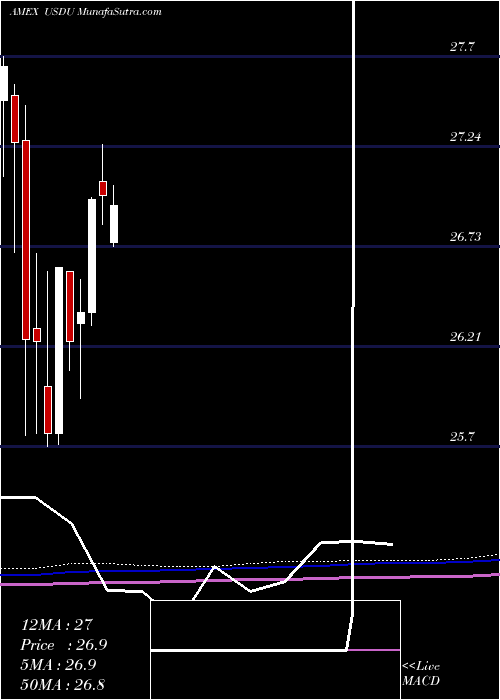  monthly chart WisdomtreeBloomberg