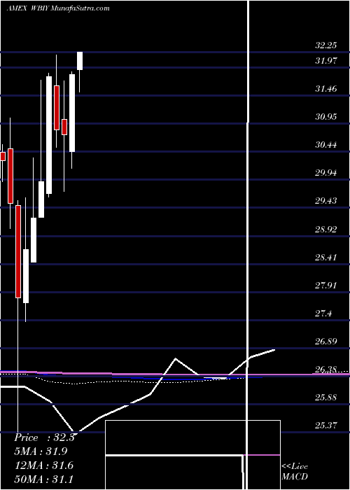  monthly chart WbiLargecap