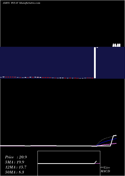 weekly chart TeucriumWheat