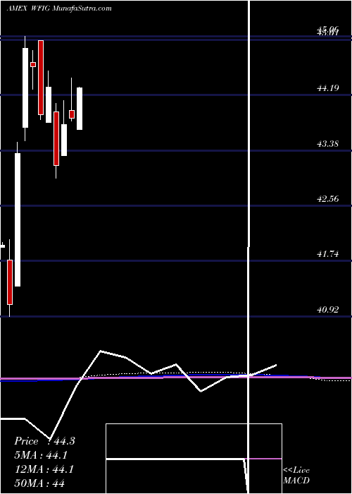  monthly chart WisdomtreeFundamental